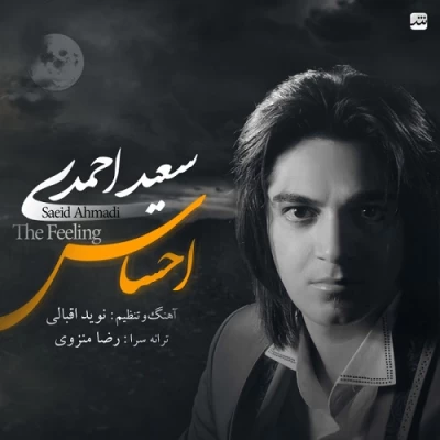 سعید احمدی - احساس