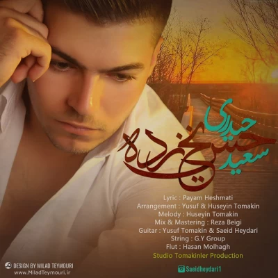 سعید حیدری - حس یخ زده