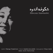 محمدحسن عزت زاده - شکوفه اندوه