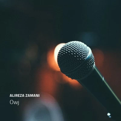 علیرضا زمانی - اوج