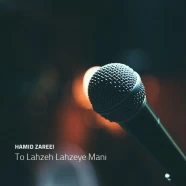 حمید زارعی - تو لحظه لحظه ی منی