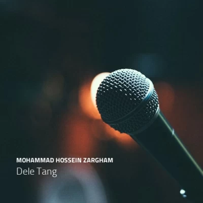 محمد حسین ضرغام - دل تنگ